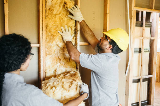 Best Crawl Space Insulation  in Duryea, PA
