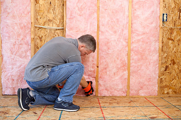 Best Affordable Insulation Services  in Duryea, PA