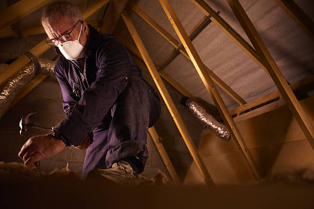 Best Attic Insulation Installation  in Duryea, PA